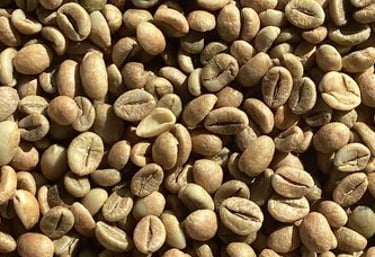 natural robusta green bean