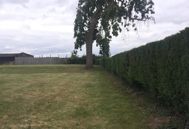 freshly cut lawn in a worcester garden