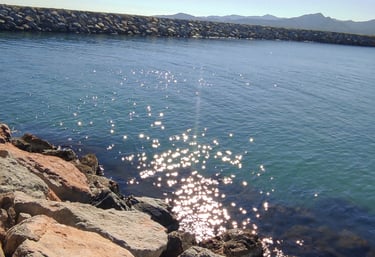 Mer scintillante grâce au soleil