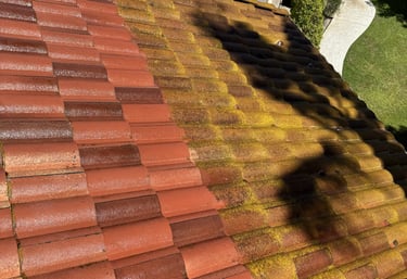 Roof cleaning before and after—removal of moss and buildup in Fresno CA by Spartan Home Services