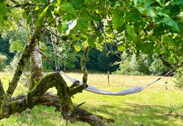 Pause hamac relaxante dans la nature pour se ressourcer dans les Vosges