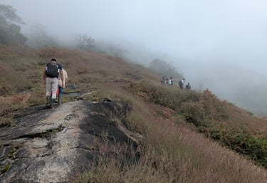 Cerro Kennedy Trek with domek tours.