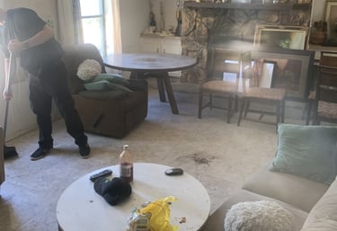 Sol Cleaners cleaning in action