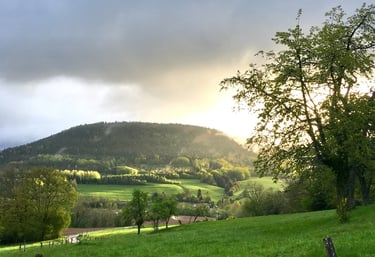 Montagnes vosgiennes. Paysage nature des Vosges.
