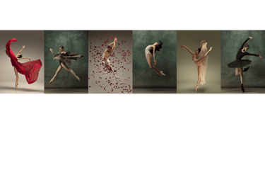 a group of dancers in a line of ballet dancers