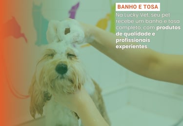 Banho e Tosa é na Lucky Vet, Pet Shop e Clínica Vererinária na Zona Norte de São Paulo