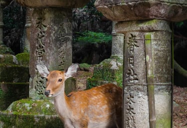 a deer standing in front of a stone lantern
