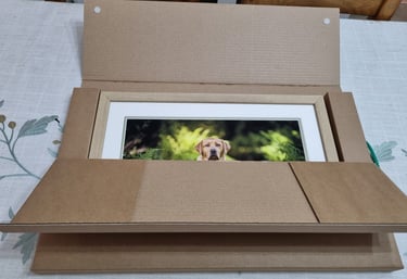 LokiPawtraits - Framed A3 pet photo.  #lokipawtraits Loki Pawtraits