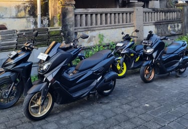 Bali bike collection for rent