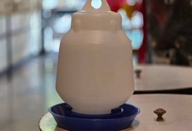 Dispenser agua y tolva alimento para aves