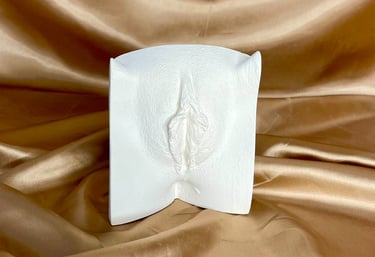 Vulve en plâtre sur fond doré