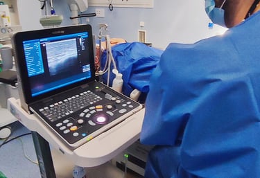 Infiltración ecoguiada