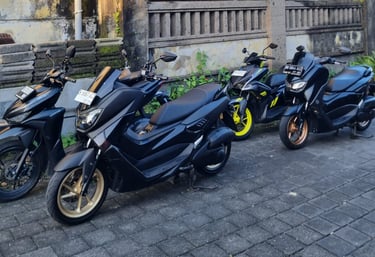 Bali bike collection for rent