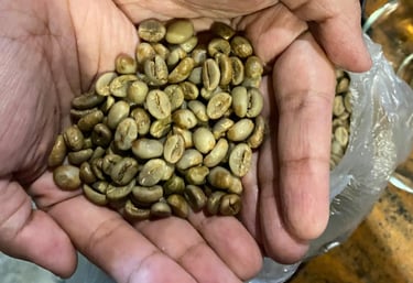 High quality Indonesian spices and beans sourced sustainably from farmers