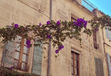 composizione floreale di gelsomini appesa tra le palazzine di un piccolo paese antico,