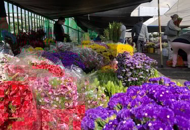 distribuidora de flores en Pereira
