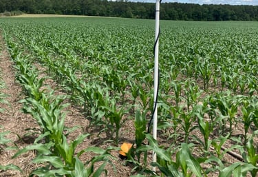 soil moisture sensor