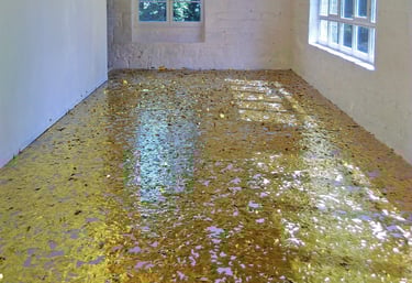 Franck Mas Les confettis de la Bible 2019