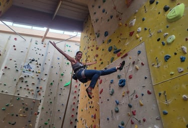 Individual climbing course in Vienna
