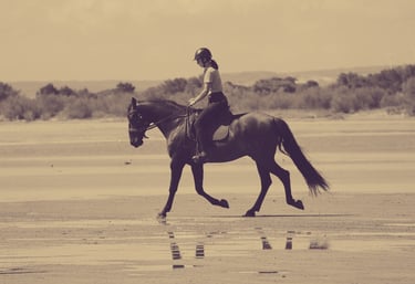 Massage cheval mobilité confort