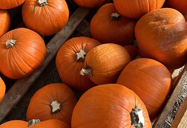 zucche di Halloween