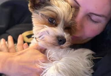 Nuevo miembro de la familia adoptado.