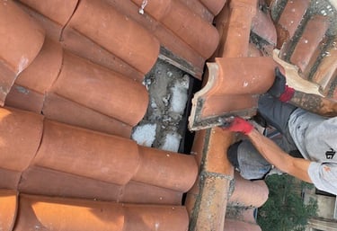 Reparación tejados Palencia