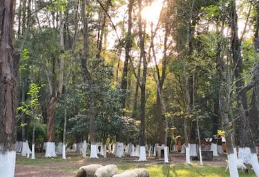 Mucho vocabulario para practicar, con los animales de la granja que nos acompañan.