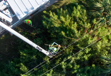 industrial vegetation control along facility access corridors
