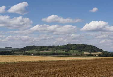 Mont Lassois