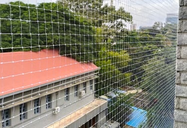Close-up of a securely installed pigeon net on a balcony overlooking Electronic City.