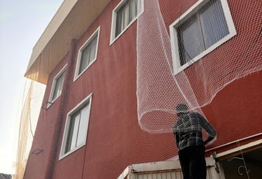 Wide shot of a Kolathur home with freshly installed pigeon nets on all balconies.