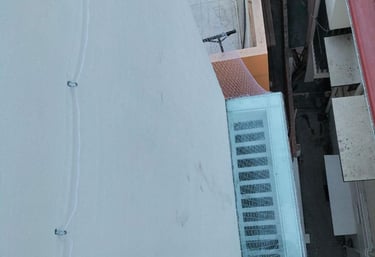 Wide shot of a balcony fully secured with safety nets overlooking a quiet neighborhood.