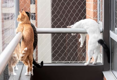 A wide shot of a modern apartment balcony fully secured with cat safety nets, bathed in warm sunligh