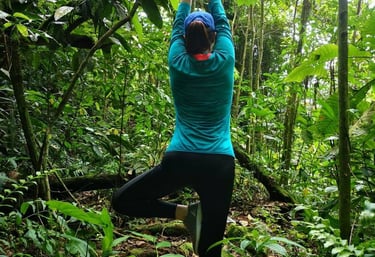 mujer en el bosque en postura del árbol