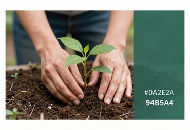 A pair of hands gently planting a sapling in rich, dark soil near a clean water source. Earthy and sustainable vibe incorporating brand colors #0A2E2A and #94B5A5.
