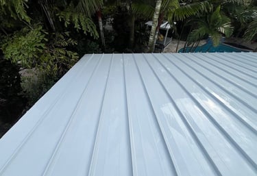 metal roof cleaning fort lauderdale 