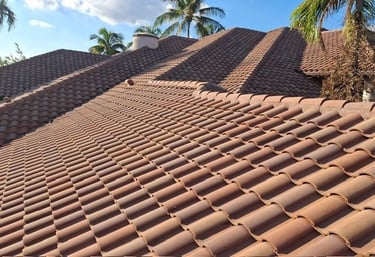 roof cleaning wilton manors fl 