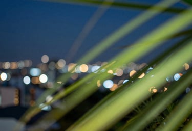 Abstract bokeh of city lights in Joinville at night, dominated by deep ocean blue and fresh lime green streaks, dynamic and modern vibe.