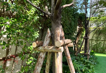 การค้ำต้นไม้