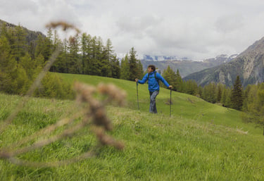 TREKKING GIORNALIERO IN VALLE D'AOSTA - PERSONA CHE CAMMINA IN MONTAGNA