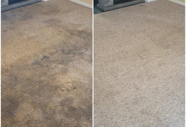 a carpeted room with a fireplace and fireplace