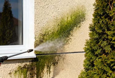 a person using a pressurer to clean a window