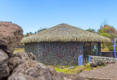 Palm thatched roof