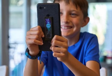 cell phone chip from emf sol