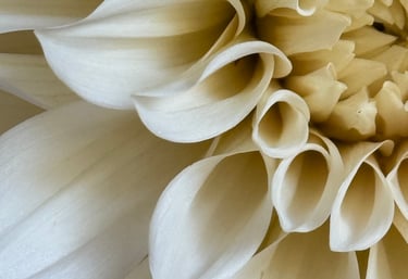 Free guided audio to reset the mind and have a moment to breathe.