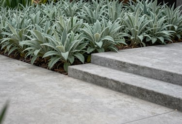 A photograph showing a seamless transition from a concrete patio to a lush garden. The Steel Grey concrete steps lead down into a field of Sage Green plants under soft, diffused light.