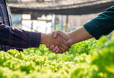 2 people shaking hands in outdoor setting, symbolising a sustainable partnership.