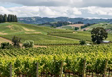 A focused tradesperson in a workshop, using tools to fix wooden furniture.
