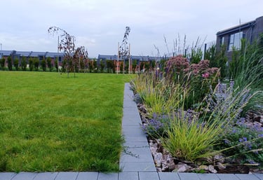 sodoidile.lt augalų sodinimas ir jų parinkimas